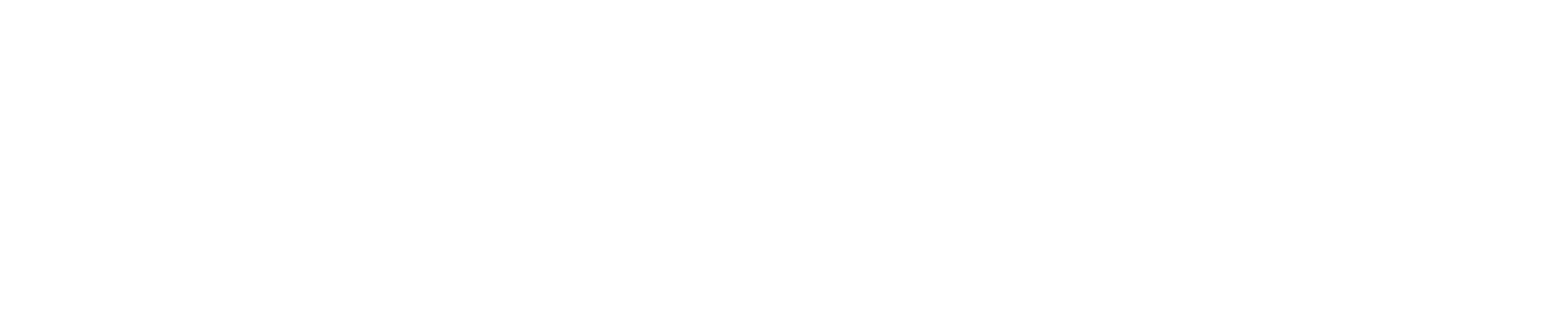 evolongevity_logo_bianco